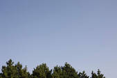 tkf001_805506