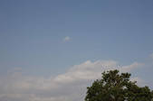 tkf001_805507