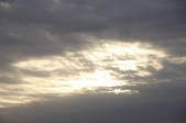 tkf001_805520