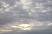 tkf001_805522
