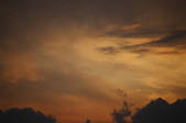 tkf001_805543