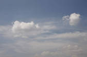 tkf001_805550