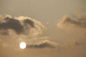 tkf001_805553