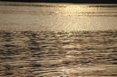 tkf001_805567