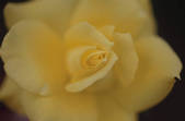 tkf001_805570