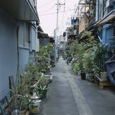 tkf001_805582