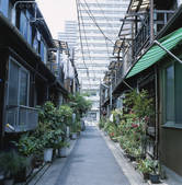 tkf001_805584