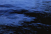tkf001_805586