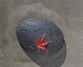 tkf001_805589