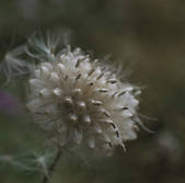 tkf001_805639
