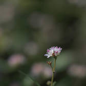 tkf001_805644