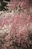 tkf001_805649