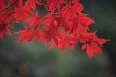 tkf001_805657