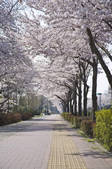 tkf001_805670