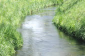 tkf001_805746