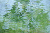 tkf001_805752