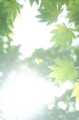 tkf001_805755