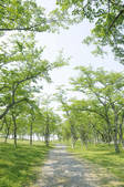 tkf001_805771