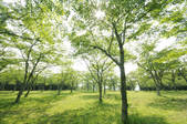 tkf001_805778
