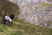 tkf001_805841