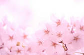 tkf001_805851