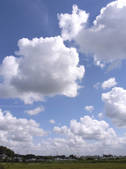 tkf001_805915