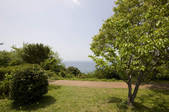 tkf001_806032