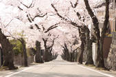 tkf001_806096