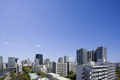 tkf001_806166