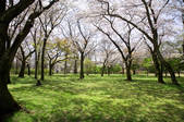 tkf001_806215