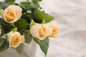 tkf001_806237