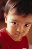 tkf001_806243