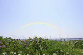 tkf001_806245