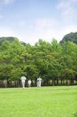 tkf001_806295