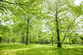 tkf001_806366