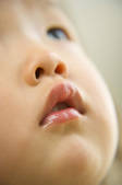tkf001_806552