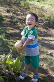 tkf001_806609