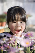 tkf001_806613