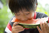 tkf001_806662
