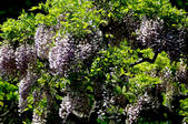 tkf001_806671