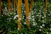 tkf001_806675