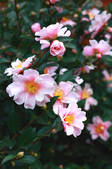 tkf001_806690