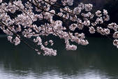 tkf001_806764