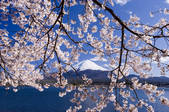 tkf001_806766