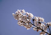 tkf001_806775