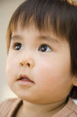 tkf001_806806