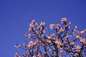 tkf001_806841