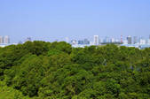 tkf001_807517