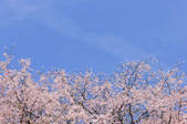 tkf001_807611