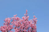 tkf001_807638